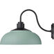 Levitt 1 Light 11.63 inch Natural Black Outdoor Wall Light in Natural Teal